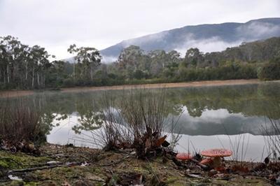 Land for Wildlife/Conservation Covenant property Land for Wildlife/Conservation Covenant property